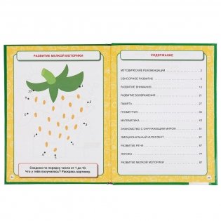 Большая книга на развитие интеллекта малыша фото книги 2