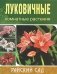 Луковичные комнатные растения фото книги маленькое 2