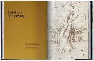 Bosch. the Complete Works фото книги 8