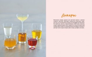 Домашние напитки. Для праздников и на каждый день фото книги 8