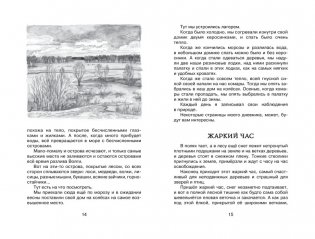 Лисичкин хлеб фото книги 3