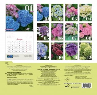 Гортензии. Настенный календарь на 2026 год фото книги 4