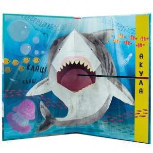 Путаница. В океане фото книги 2