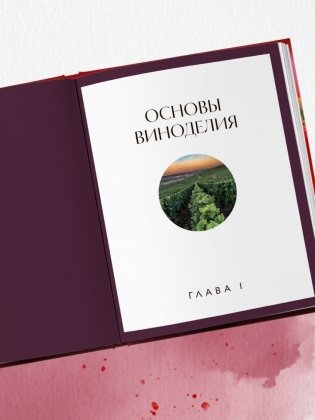 Вино к еде. Искусство идеального сочетания фото книги 4