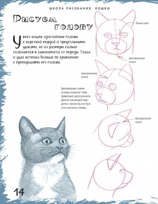 Школа рисования. Кошки фото книги 3