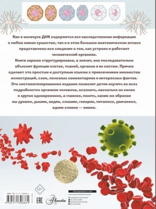 Анатомия фото книги 2