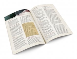 Настольная игра "Dungeons&Dragons. Стартовый набор" фото книги 9