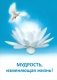 Мудрость, изменяющая жизнь фото книги маленькое 2