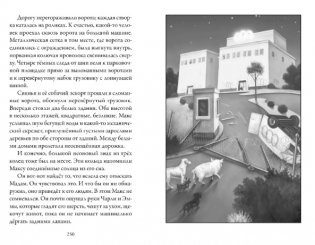 Верные. Книга 2. Тайна трёх колец фото книги 5