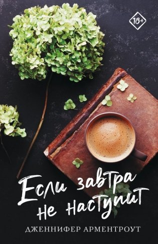 Если завтра не наступит фото книги