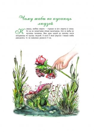 Чаму муха ва ўсе бакі бачыць фото книги 9