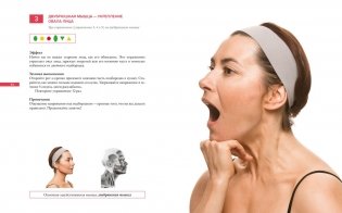 Гимнастика для лица. Натуральный подход к сохранению красоты, молодости и здоровья кожи фото книги 6