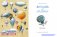 Вплавь по воздуху фото книги маленькое 3