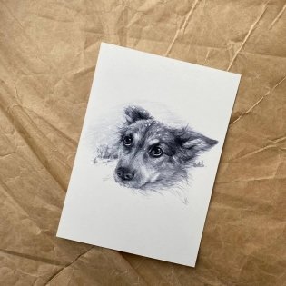 Открытка "Иду по тайге. Собака" фото книги 2