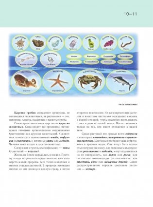 Подводный мир. Полная энциклопедия фото книги 10
