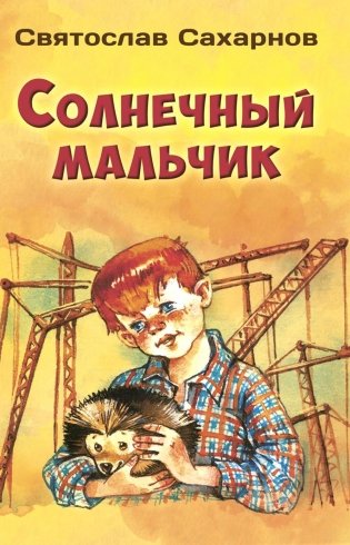 Солнечный мальчик фото книги