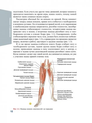 Анатомия хоккея фото книги 8