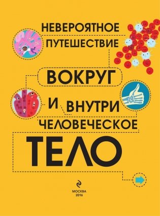 Человеческое тело. Невероятное путешествие вокруг и внутри фото книги 4