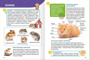 Энциклопедия для маленьких почемучек. Домашние питомцы фото книги 4