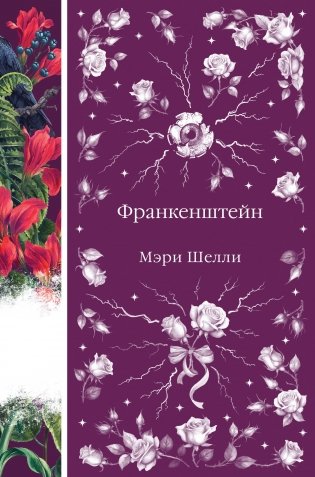 Франкенштейн, или Современный Прометей (книга #7) фото книги