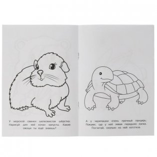 Раскраска-малышка. Милые питомцы. 16 заданий фото книги 2