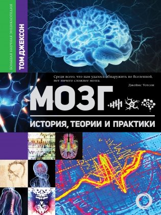 Мозг. История, теории и практики фото книги