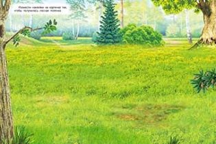 Звери нашего леса фото книги 2