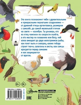 Какие бывают птицы? фото книги 2