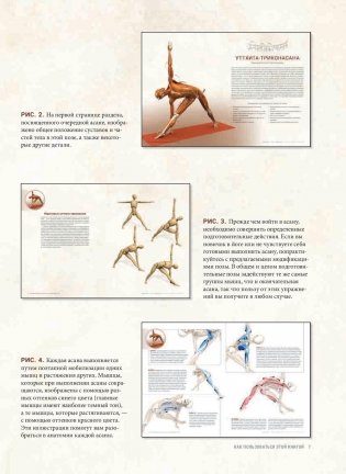 Анатомия виньяса-флоу и асан, выполняемых стоя. Руководство фото книги 5