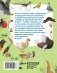 Какие бывают птицы? фото книги маленькое 3