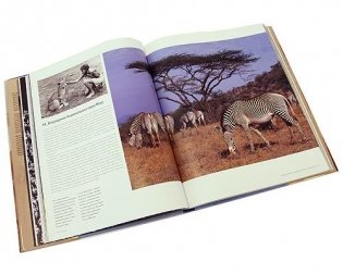 Самые красивые места дикой природы в мире фото книги 4