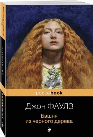 Башня из черного дерева фото книги 2