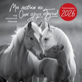 Год огненной лошади. Мы любим их. Они друг друга! Календарь настенный на 2026 год (300х300 мм) фото книги