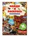 Времена года. Раскраска "Найди и раскрась" с наклейками фото книги маленькое 2