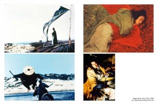 WKW: The Cinema of Wong Kar Wai фото книги 3