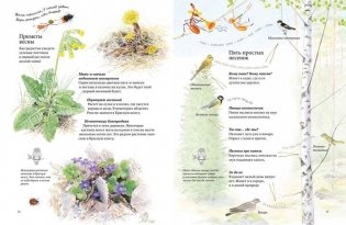 Экспедиция Софи фото книги 3