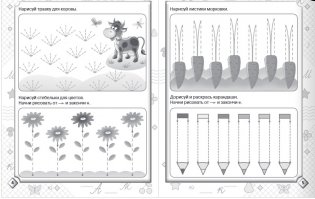 Тренажер для быстрого обучения письму фото книги 3