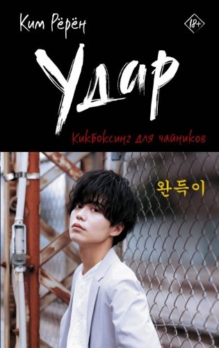 Удар. Кикбоксинг для чайников фото книги