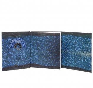 По Ангаре (+ DVD) фото книги 2