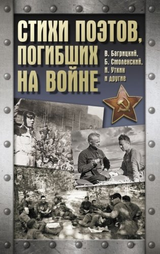 Стихи поэтов, погибших на войне фото книги