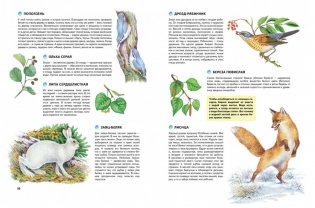Природа России. Иллюстрированная энциклопедия фото книги 7