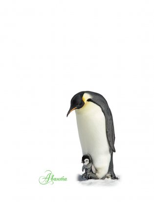 Животные фото книги 2