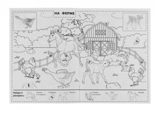 Кто где живёт? Раскраска "Найди и раскрась" с наклейками фото книги 2