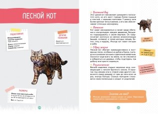 Лесные животные фото книги 7