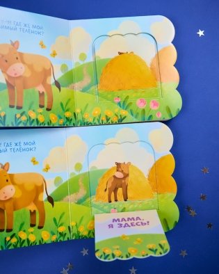 Книжка с окошками. Животные фото книги 4