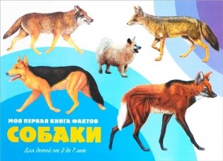 Моя первая книга фактов. Собаки фото книги 4