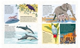 Удивительные животные. Самые-самые фото книги 4