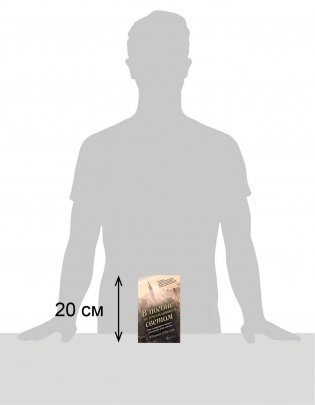 В погоне за ускользающим светом фото книги 2