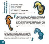 Подводный мир. Серия "Планета животных" фото книги 2