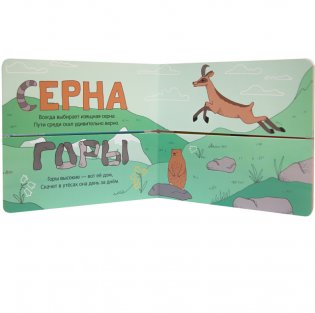 Кто где живет? фото книги 3